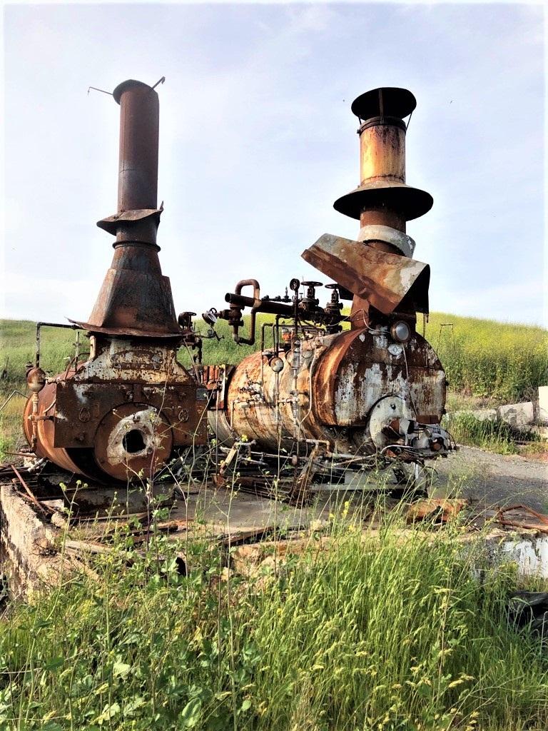 When boilers were first introduced in the greenhouse, they burned coal or oil.